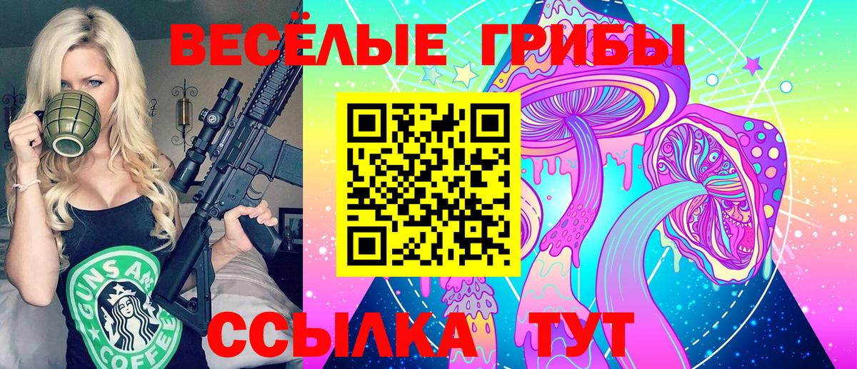 Галлюциногенные грибы GOLDEN TEACHER  Вход с VPN  Электрогорск 