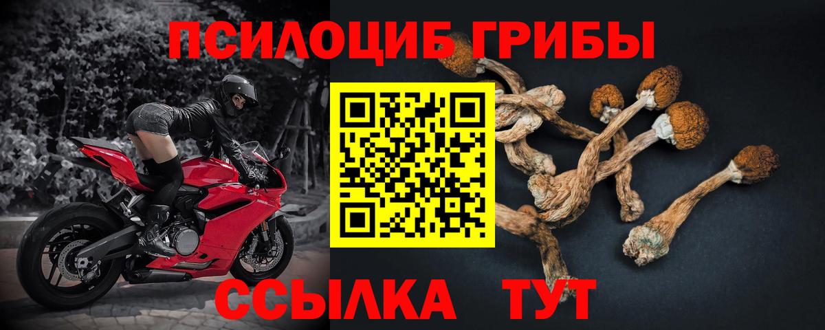 MDMA  Вход с VPN  COCAIN  Электрогорск  МЕФ кристаллы  Канабис  A-PVP СК  